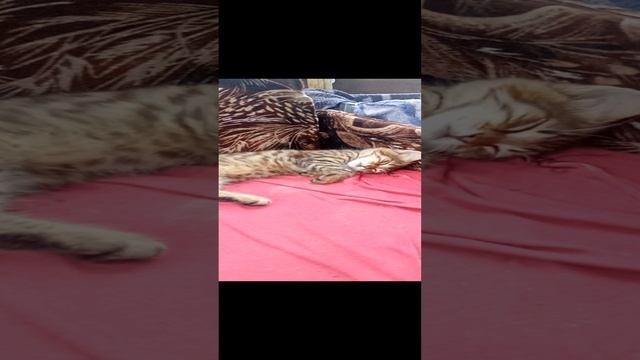 Малыш отдыхает #реки #топ #популярно