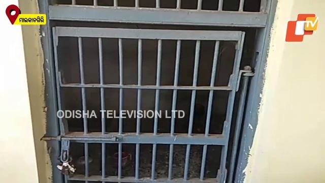 Special Story | Bizarre! Two Cocks Jailed In Telangana-Watch How