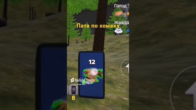 Побег от тимохи шалуна 2