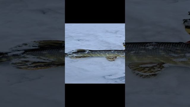1000010070.mp4