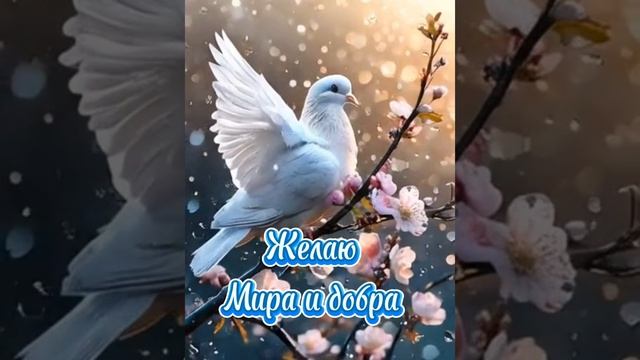 Желаю добра