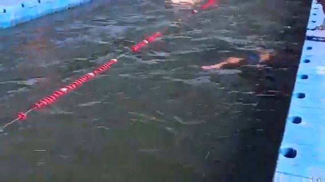 Енисеюшка 2013, 50м брасс