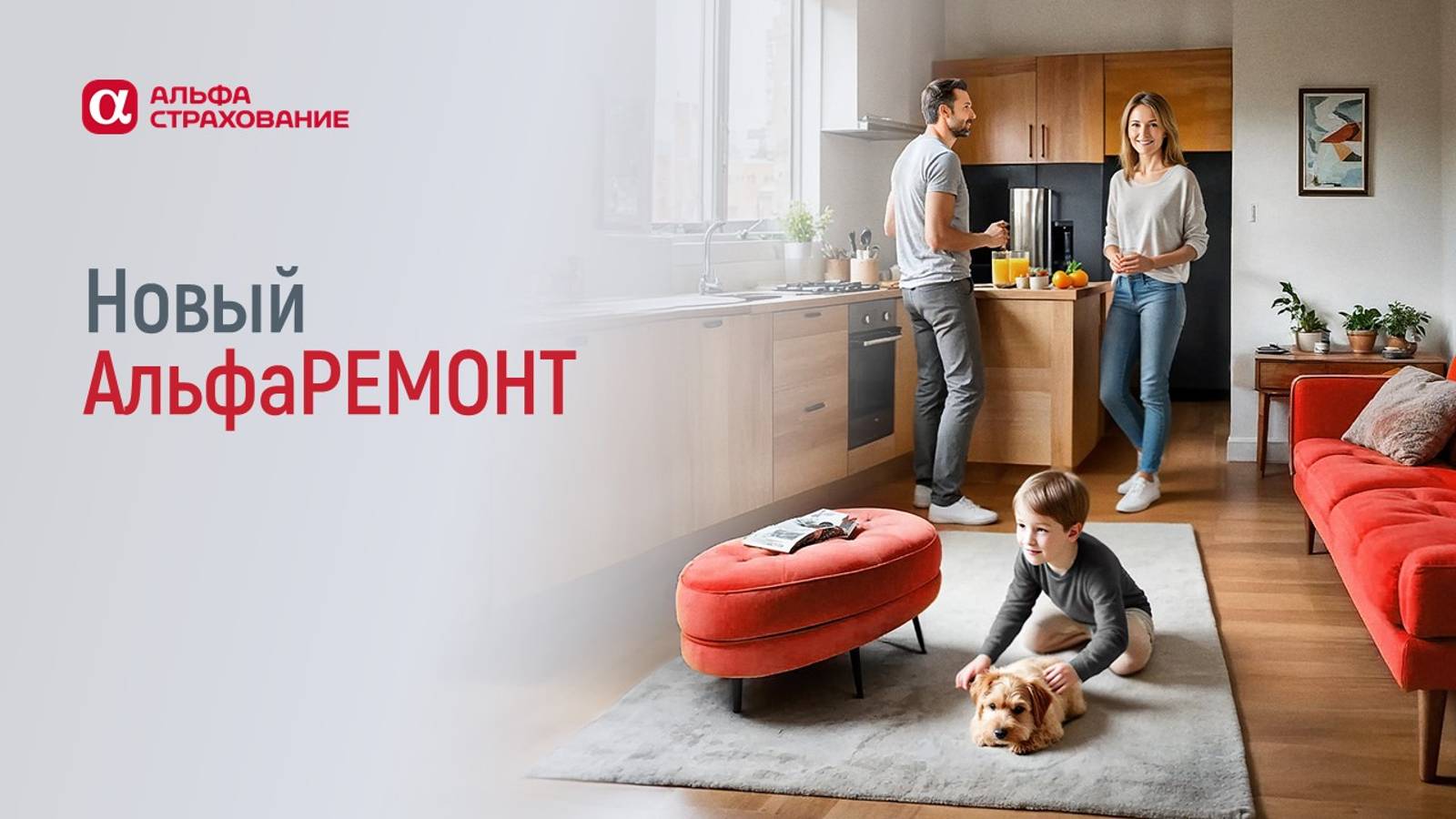 За что мы платим в рамках доп. рисков и опций (бытовые примеры)