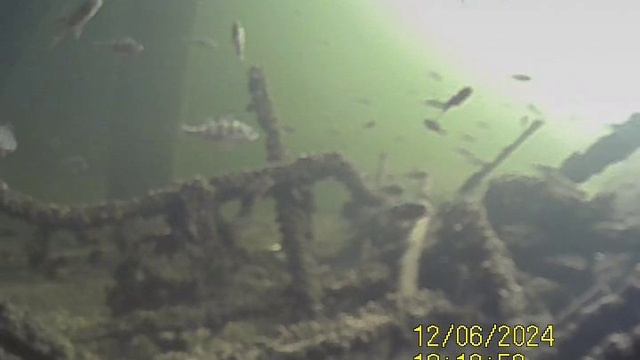 1000034747.mp4Волга гл.4м.06.12.2024г.
