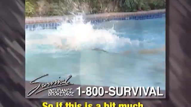 Survival Insurance - Pool Fight Version 3