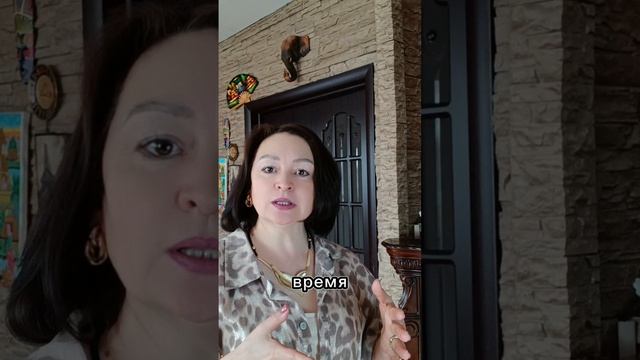 6 цикл жизни