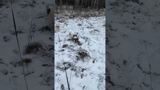 1000054590.mp4