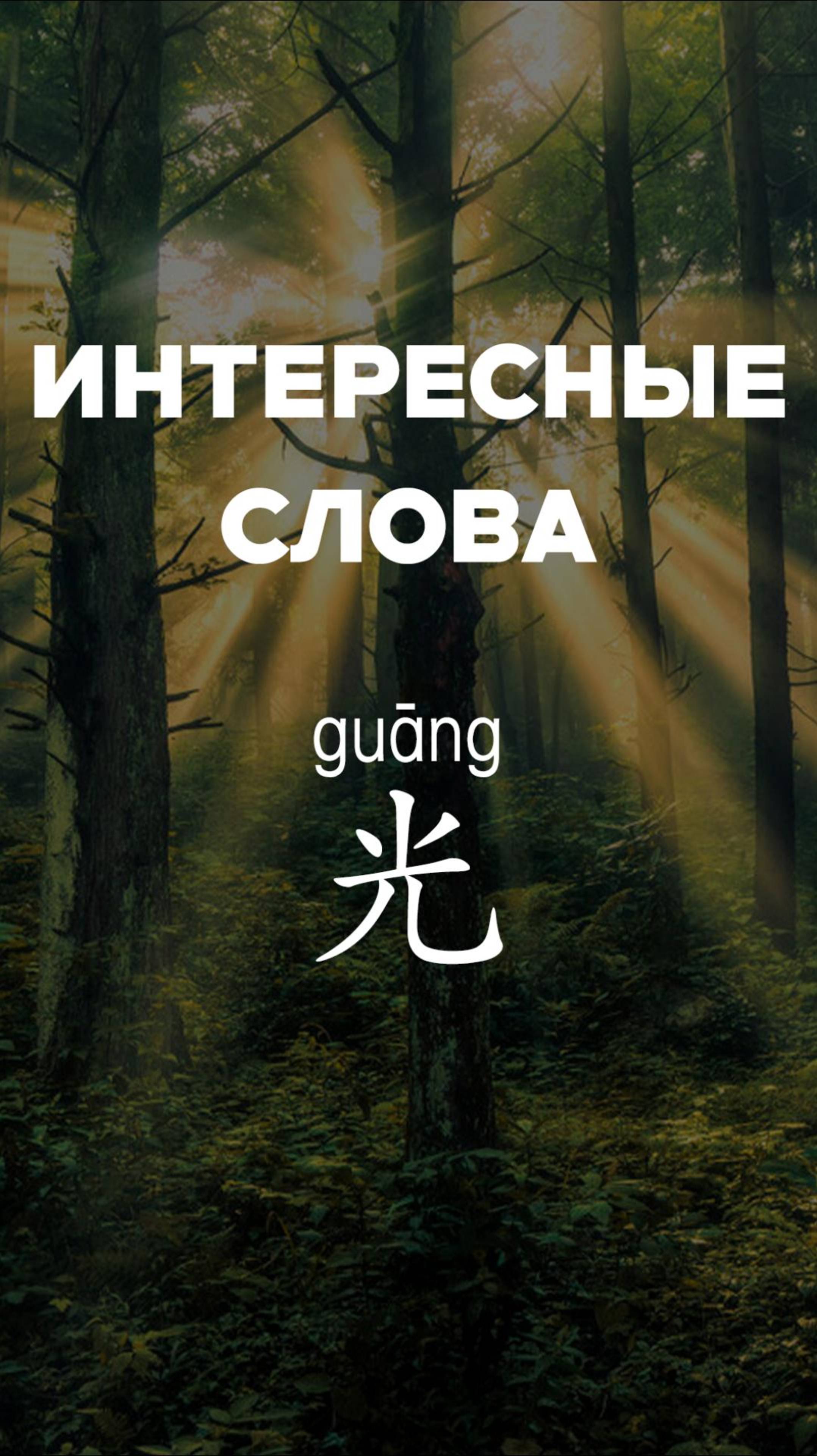 Интересные слова：光