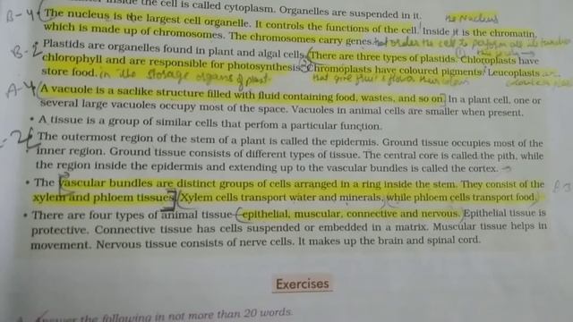 Class-8thB (G.Science) Revision of Ch-The Cell