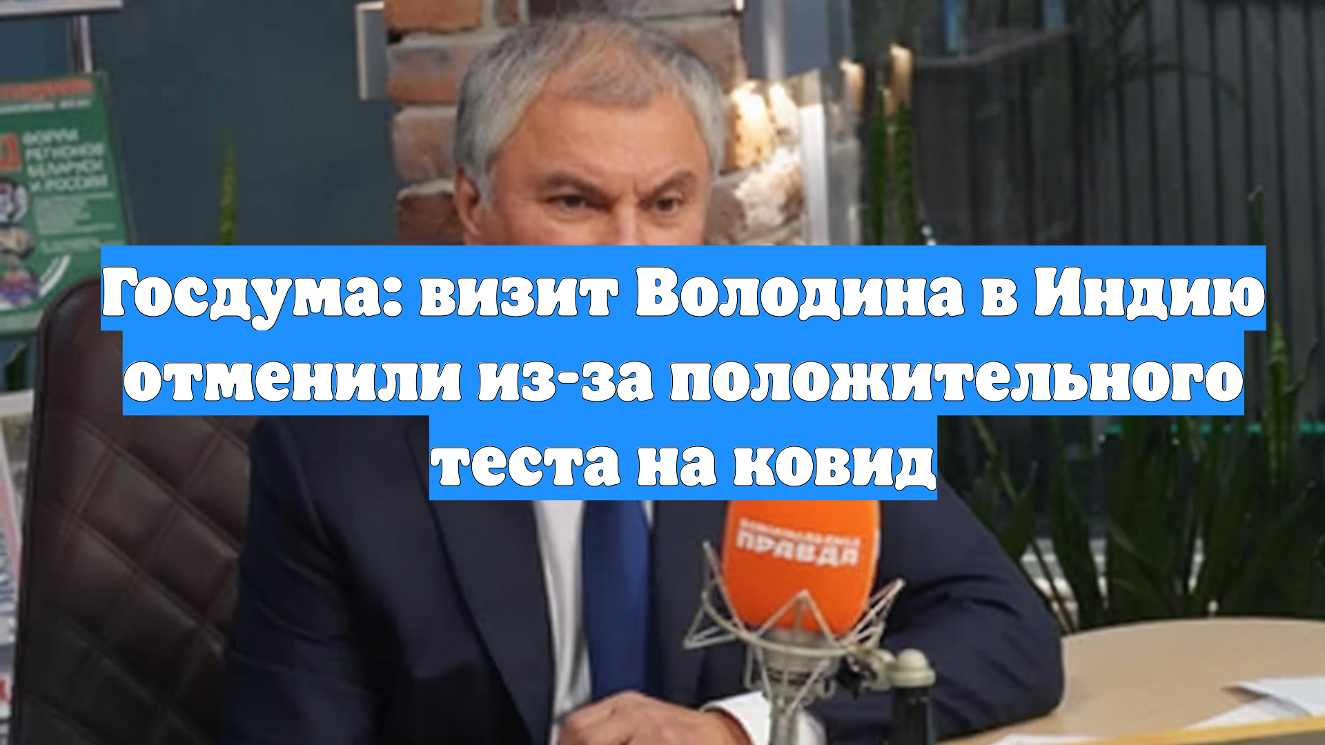 Госдума: визит Володина в Индию отменили из-за положительного теста на ковид