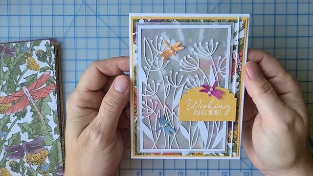 Video Walkthrough Featuring Dandy Laser Series Paper Part 1 of 3 - Tips For Use +Trick To Mute DSP!