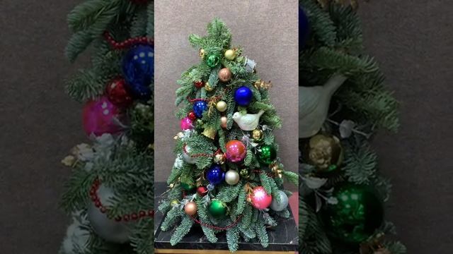 Елочка из Нобилиса