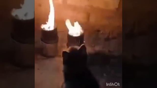 Флеш моб "Минута молчания"