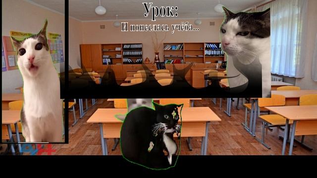 Типичный день в школе только сумасшедший