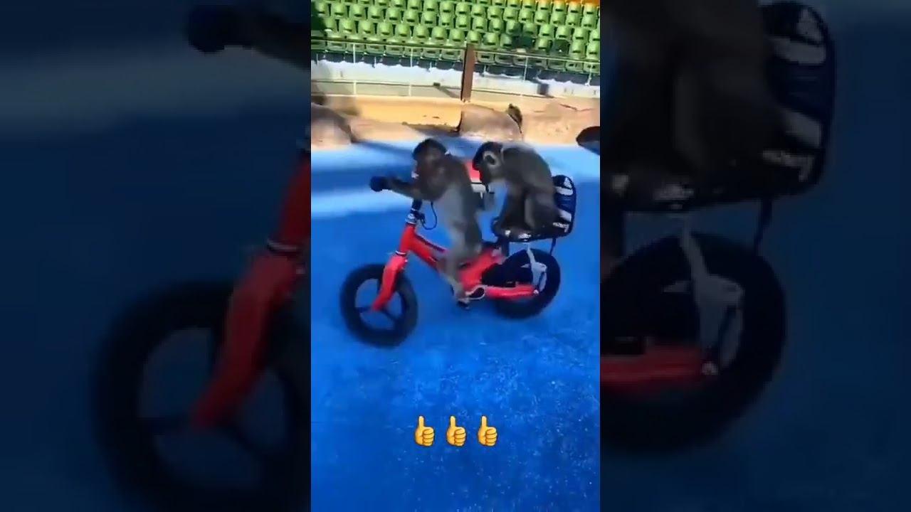 https://youtu.be/7IBo8TUvBJI