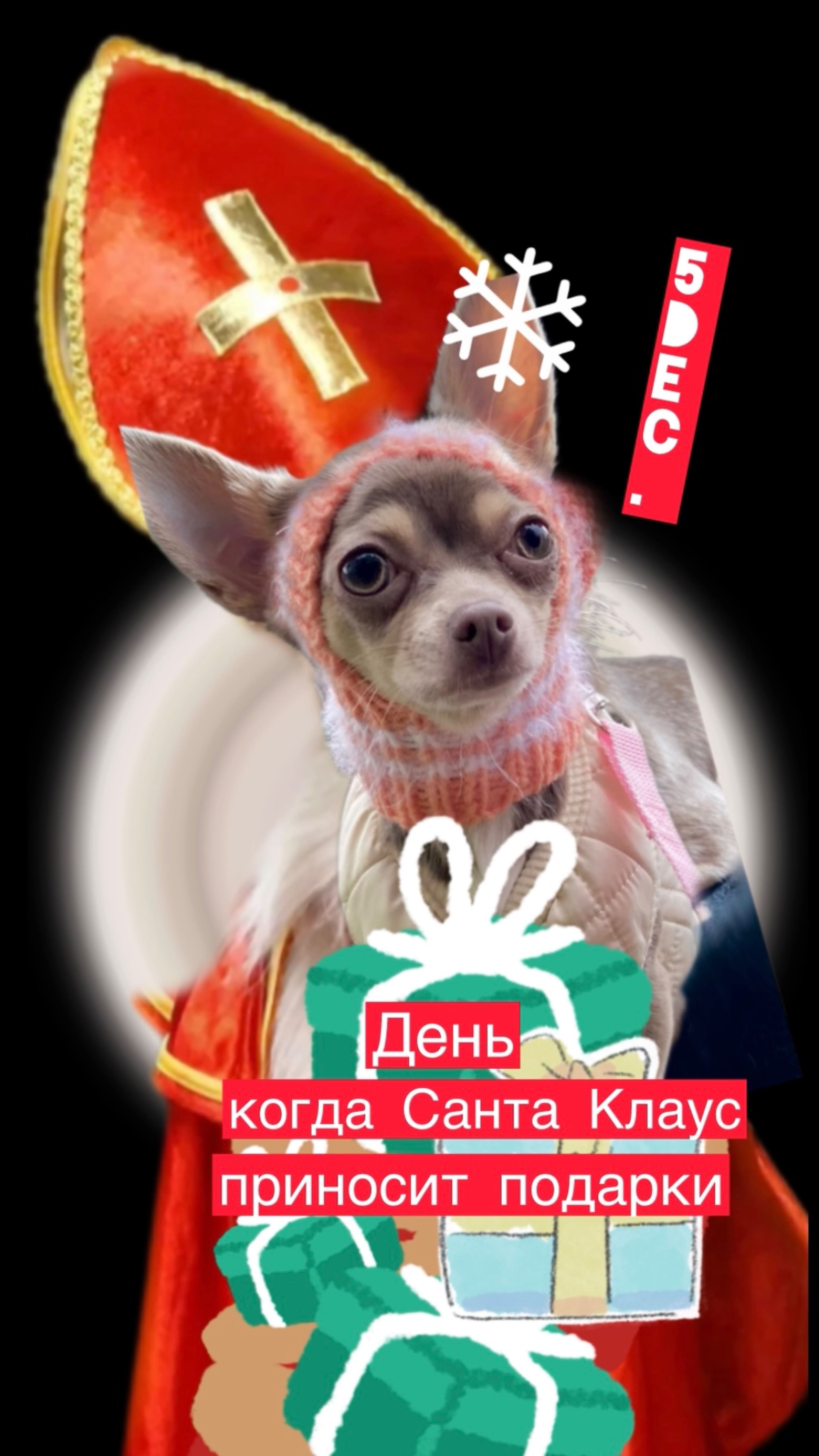 5 декабря день подарков.