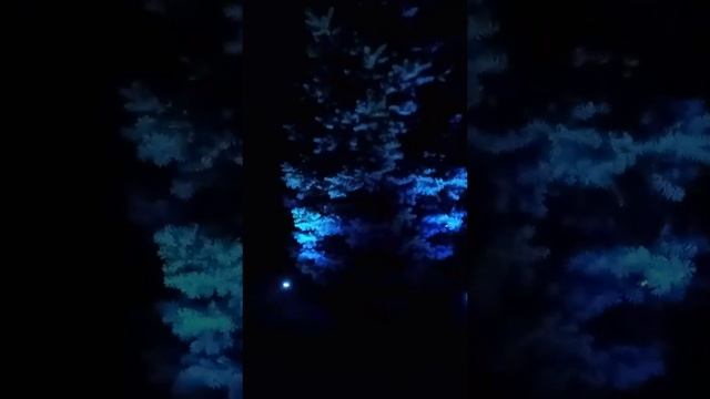 Отзыв №2 ⭐⭐⭐⭐⭐ - Ландшафтный светильник