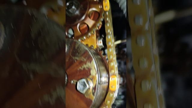 2nz Yaris Timing