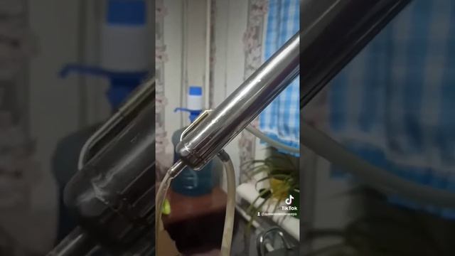 Семь месяцев стояла брага