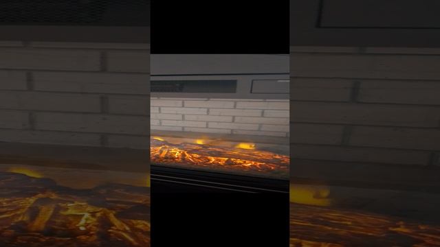 1000009871.mp4