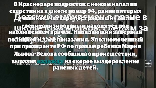 Львова-Белова: 4 ребёнка госпитализированы после конфликта в краснодарской школе