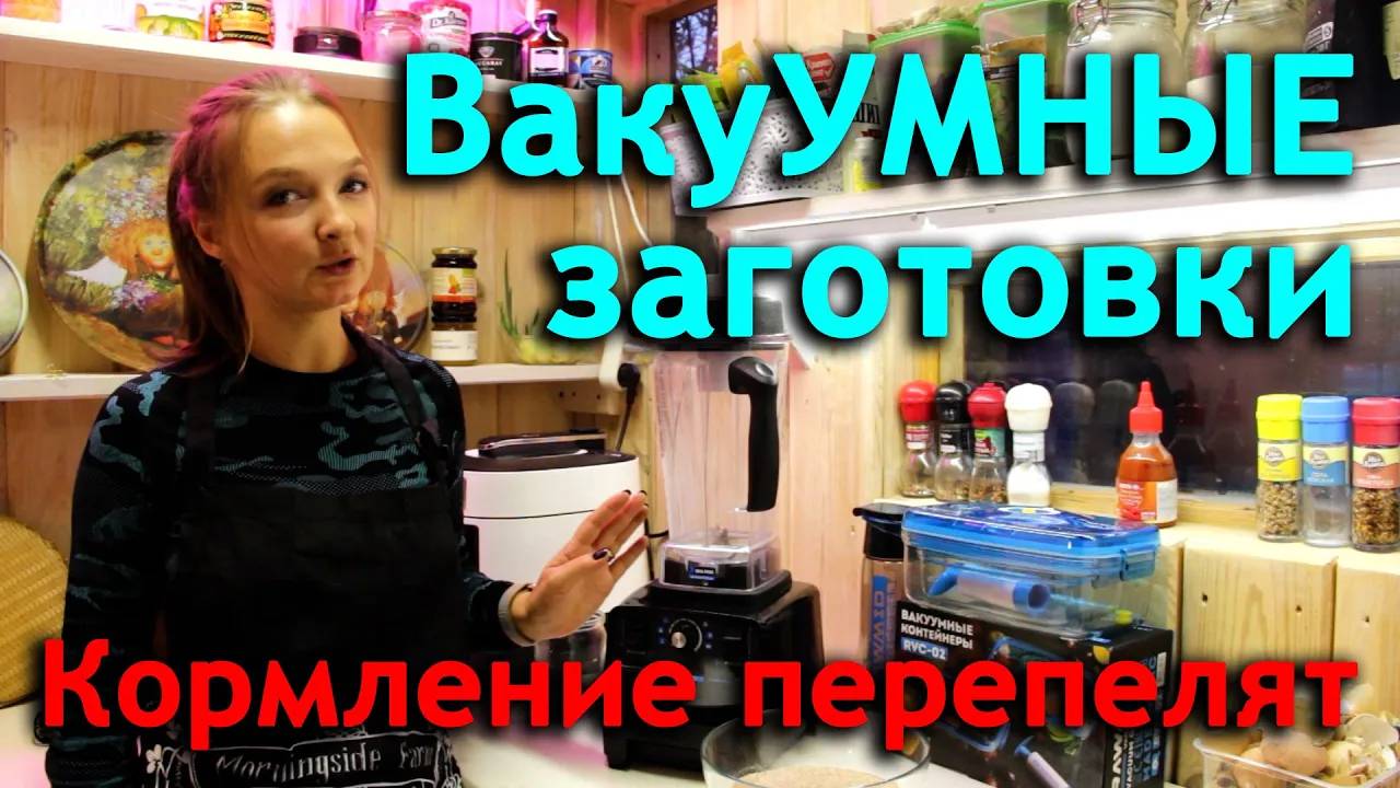 Простой способ кормления перепелят. Увеличиваем поголовье перепелов. Вакуумные заготовки для борща.