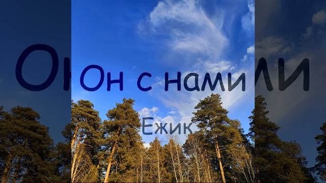 Ежик - Он с нами