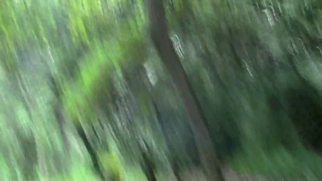 De paseo al "Jardín Botánico de Bogotá"