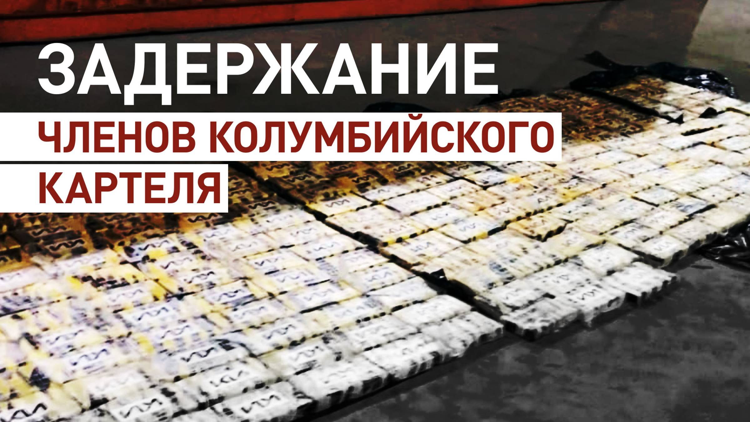 Груз на 5,5 млрд рублей: спецслужбы задержали членов картеля с крупной партией наркотиков