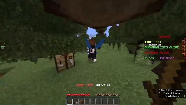 They made a manhunt server