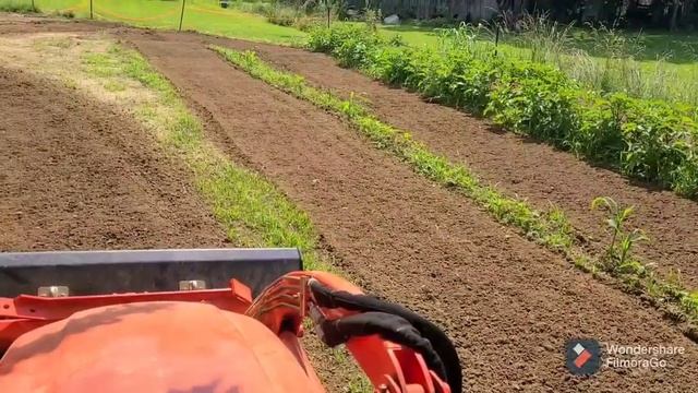 Kioti CS2210 with Titan 4 foot Tiller