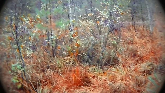 M-A psychedelic ambient bass vi noise