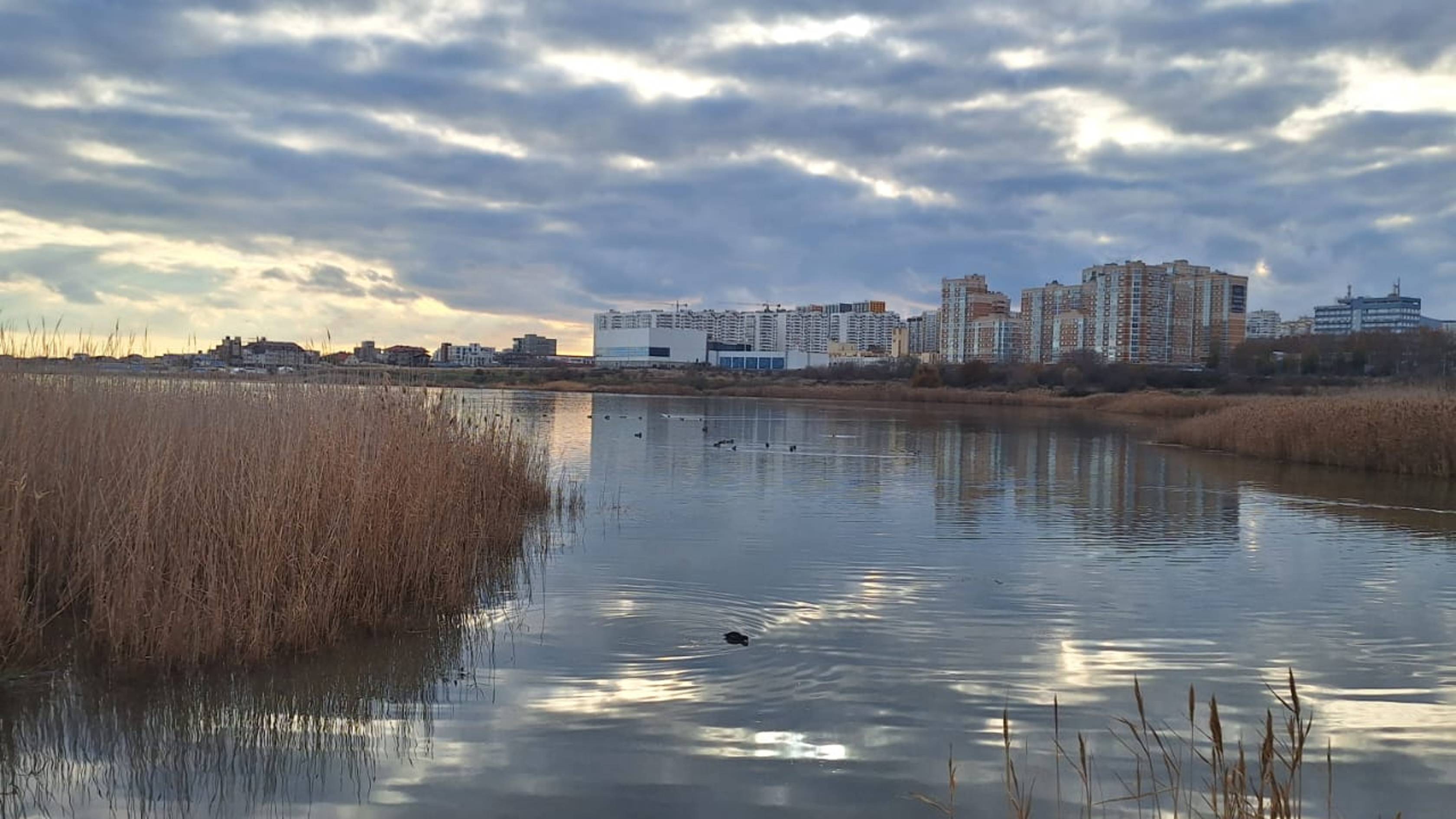 Амулеты года Змеи