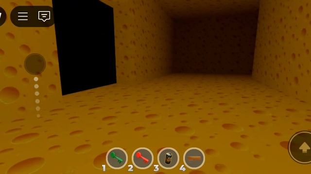 1000018483.mp4