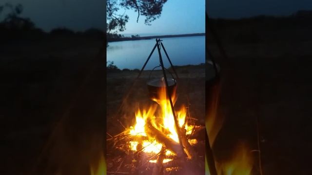 YouCut_20241206_123407904.mp4