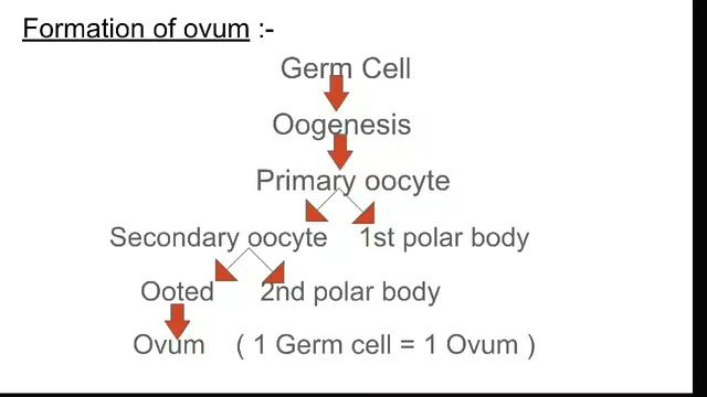OBG class - 2, Introduction to OBG (Part-ll),Female reproductive organs ,Online nursing classes