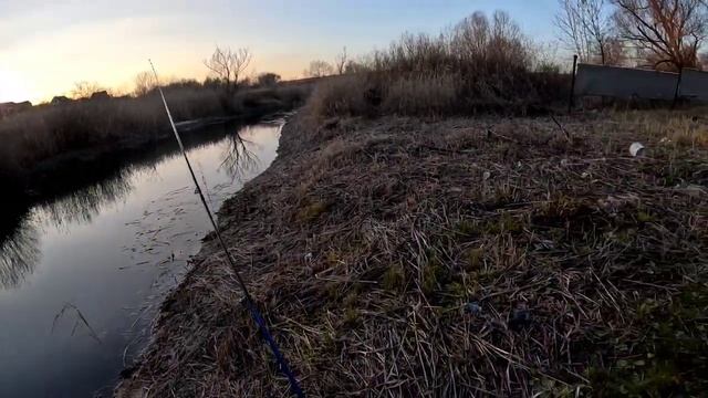 Вернулся на речку Саратовку покидать спиннинг, дачники рыбу подсаками собирали из за обмеления реки