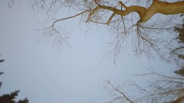 Новосибирск готовится к встрече 2025
