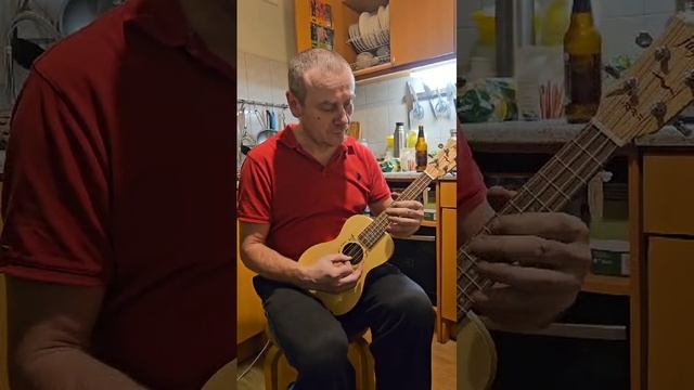 06-12-2024 светит месяц на укулеле