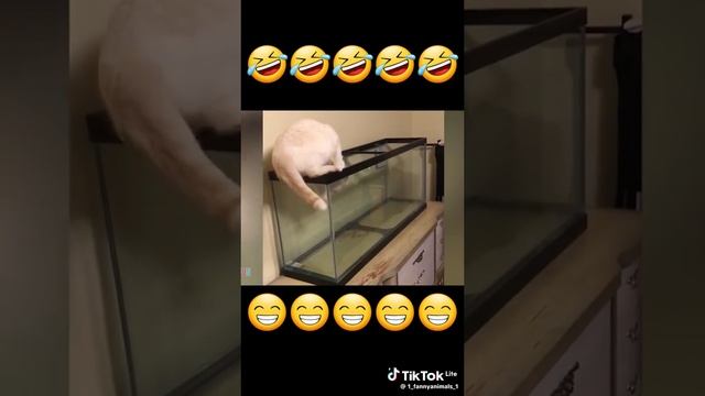 1000037275.mp4