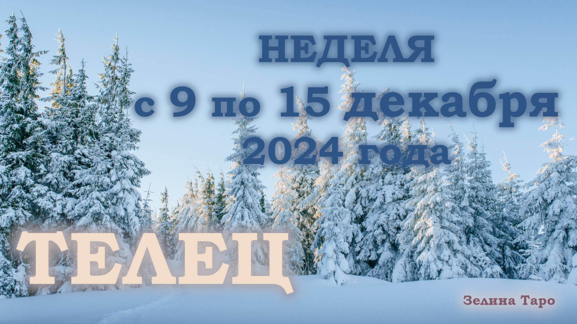 ТЕЛЕЦ | ТАРО прогноз на неделю с 9 по 15 декабря 2024 года