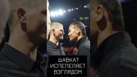 Психологическая атака от Шавката! ufc310