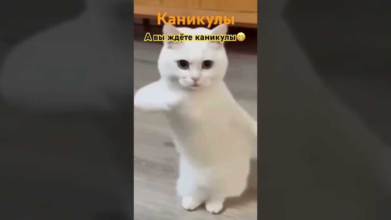 #standoff2 #скучно #marvel #смурфик #dance