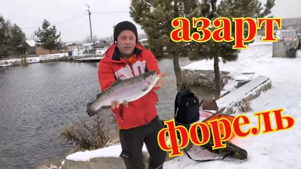 Икряная форель на Азарте 4.12.24