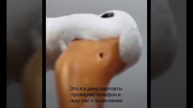 Я в день зарплаты)))