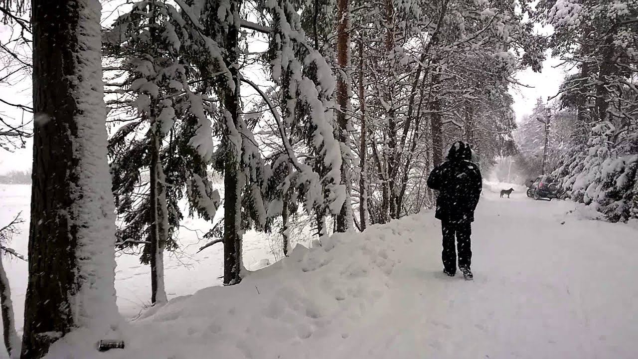 Прогулка по берегу зимой