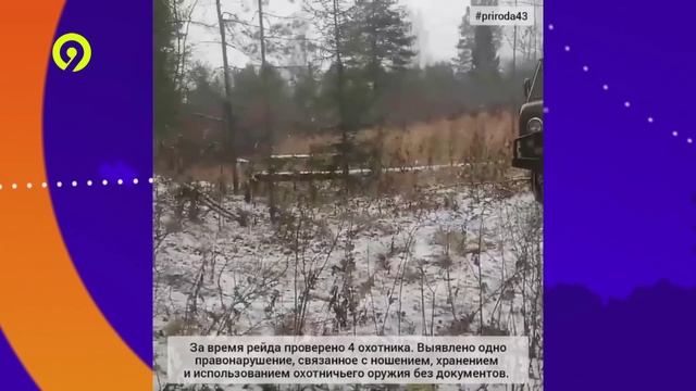 Давеча | 06.12.2024 |Нарушения в охотничьих угодьях