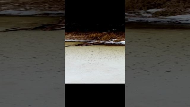 .ВОДА . На лед не выйти