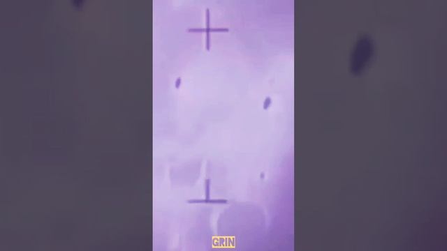 🟣GRIN - Стая волков...🐺(1)