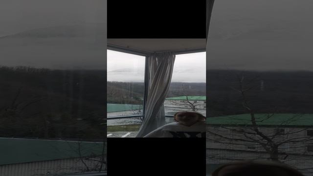 Сочи, Эстосадок